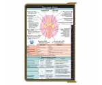 WhiteCoat Clipboard® - Tactical Brown Neurology Edition